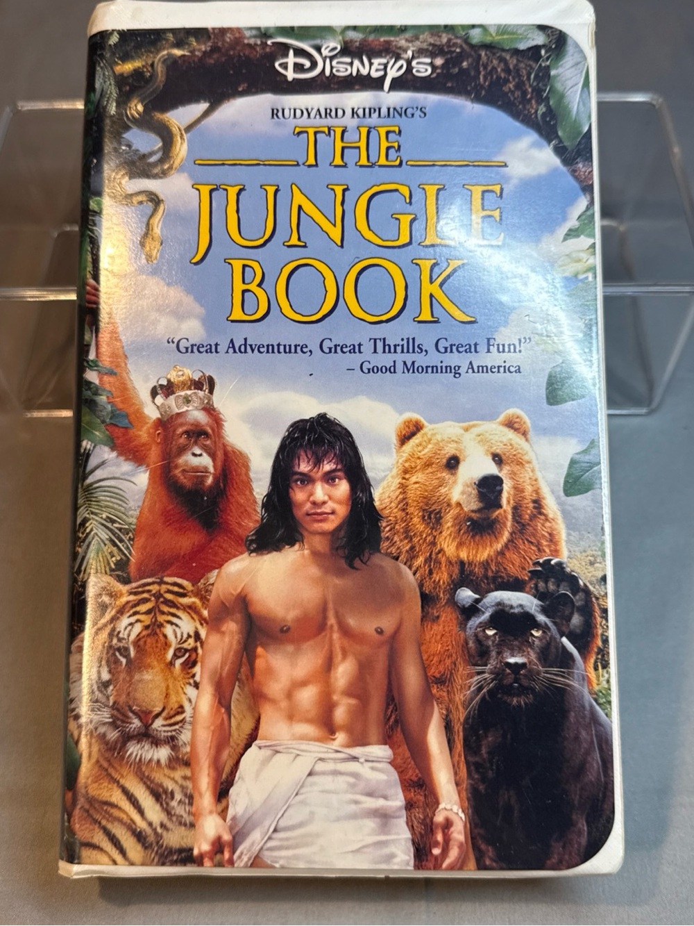 Disney The Jungle Book Cover Art - Blue, Yellow, Brown, Black